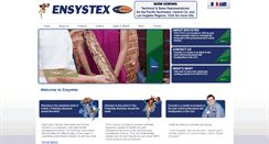 Desktop Screenshot of ensystex.com