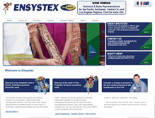 Tablet Screenshot of ensystex.com